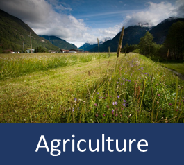Graphic with text: agriculture