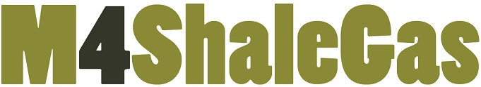 Logo of the M4ShaleGas project