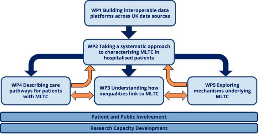 A diagram showing the structure of the work packages