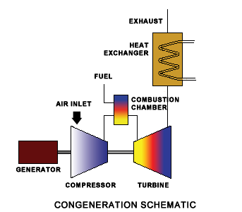 Cogeneration System