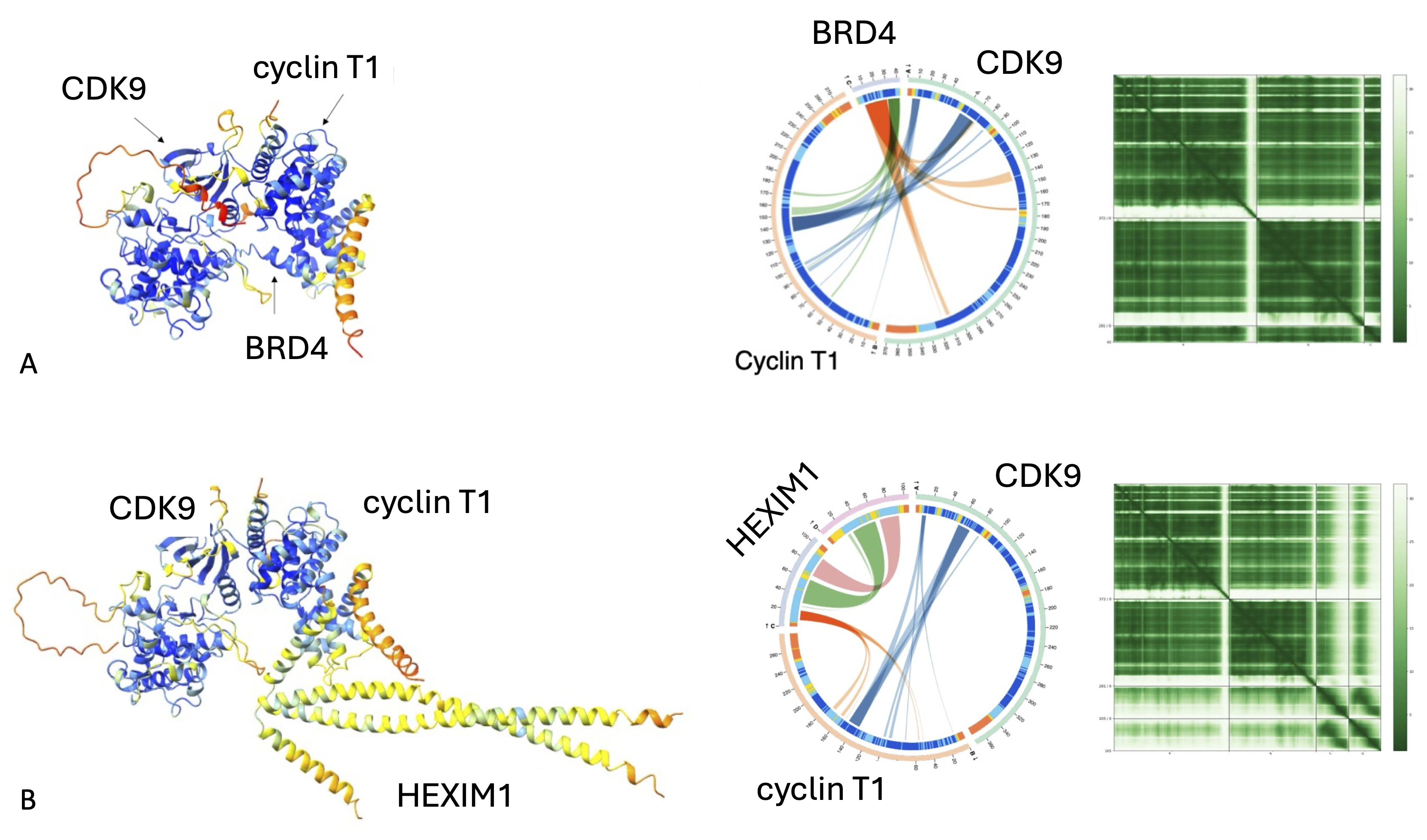 Crystallographic fragment screening of cyclin T
