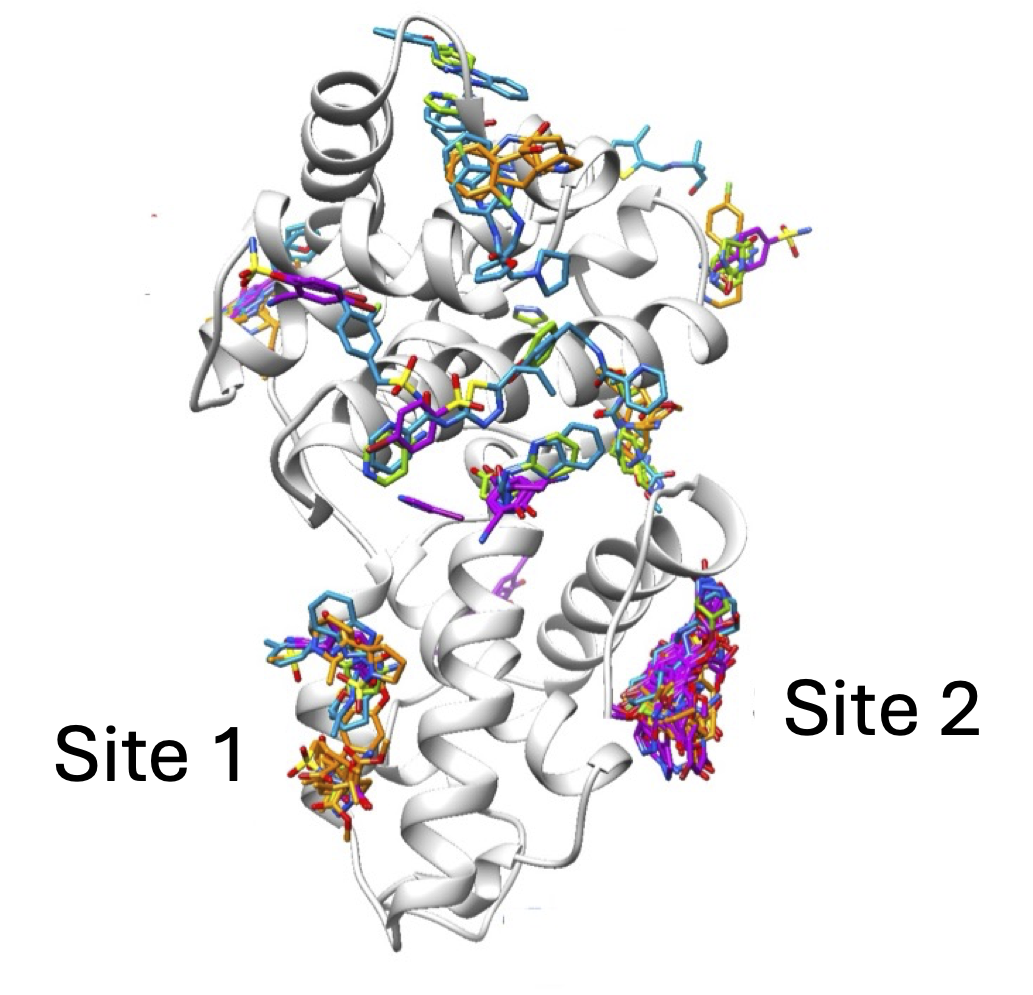 Crystallographic fragment screening of cyclin K