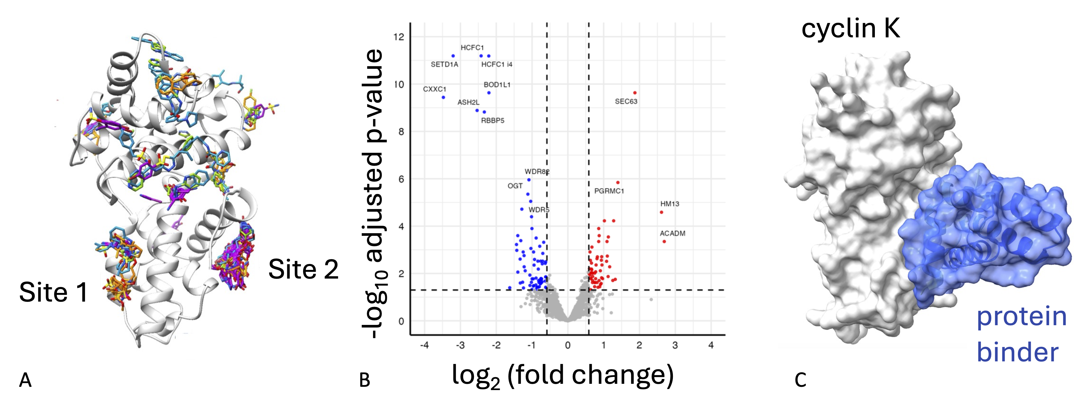 Crystallographic fragment screening of cyclin K