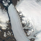 Pan-Arctic outlet glacier retreat trends