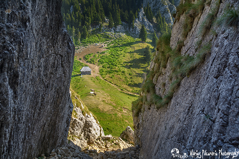 View of a valley between two rocks, Cacova mountain, Romania