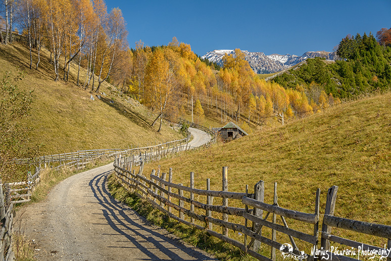 Countryside road with snowy mountain tops in the background, Fundata, Bucegi mountains, Romania