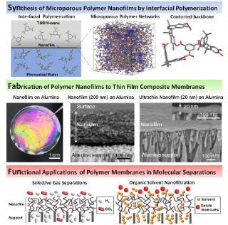 Publications; SynFabFun; Newcastle University