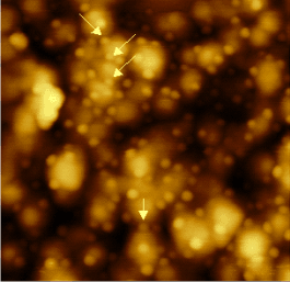 Atomic force microscope image of a gold nitride surface. 